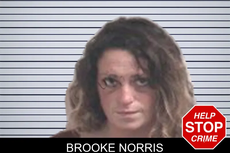Brooke Norris mugshot