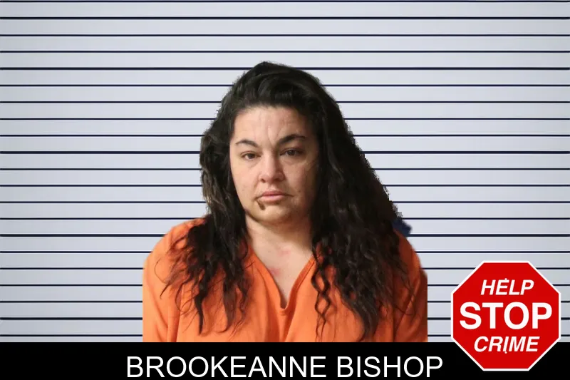 Brookeanne Bishop mugshot – Lumpkin County , Georgia Brookeanne Bishop mugshot
