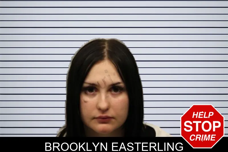Brooklyn Easterling mugshot – Chatham County , Georgia Brooklyn Easterling mugshot