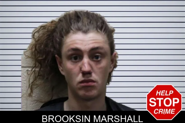 Brooksin Marshall mugshot – Haralson County , Georgia Brooksin Marshall