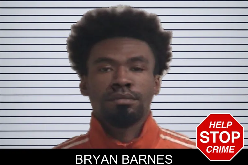 Bryan Barnes mugshot