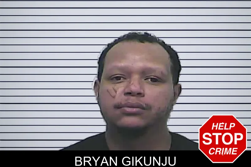 Bryan Gikunju mugshot – Dawson County , Georgia Bryan Gikunju mugshot