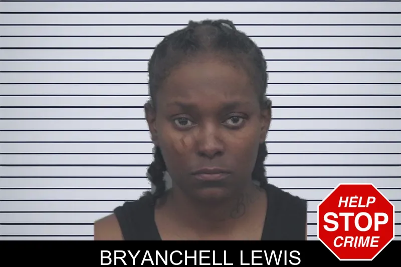 Bryanchell Lewis mugshot