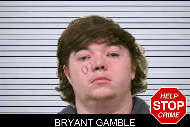 Bryant Gamble mugshot