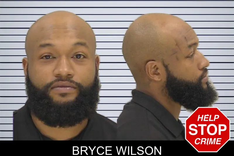Bryce Wilson mugshot