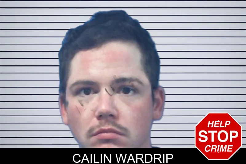 Cailin Wardrip mugshot