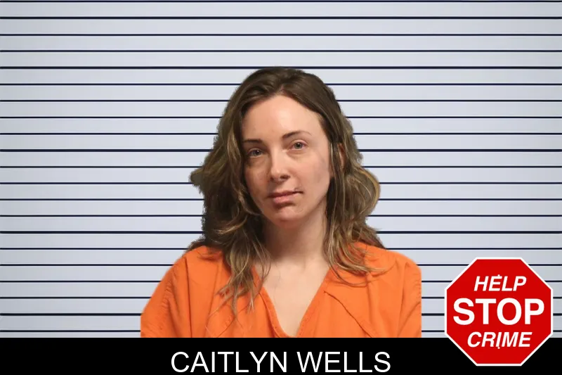 Caitlyn Wells mugshot – Lumpkin County , Georgia Caitlyn Wells mugshot