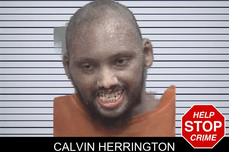 Calvin Herrington mugshot