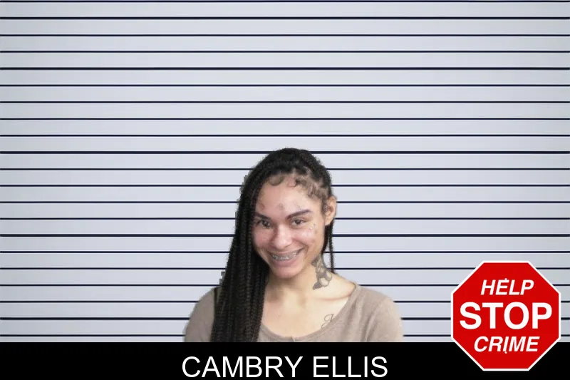 Cambry Ellis mugshot