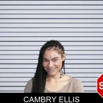 Cambry Ellis mugshot