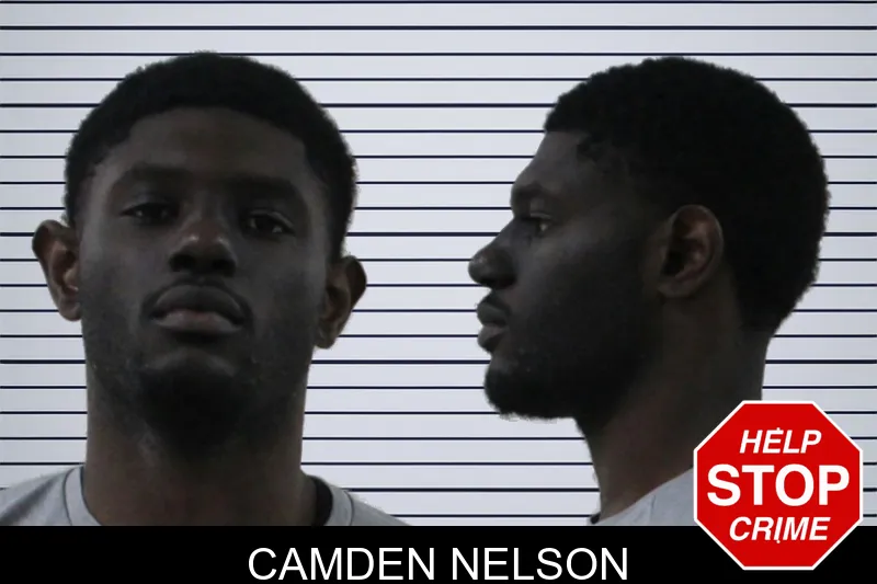 Camden Nelson mugshot