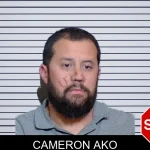 Cameron Ako mugshot – Glynn County , Georgia Cameron Ako mugshot