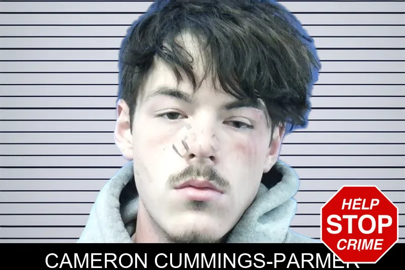 Cameron Cummings-Parmer mugshot