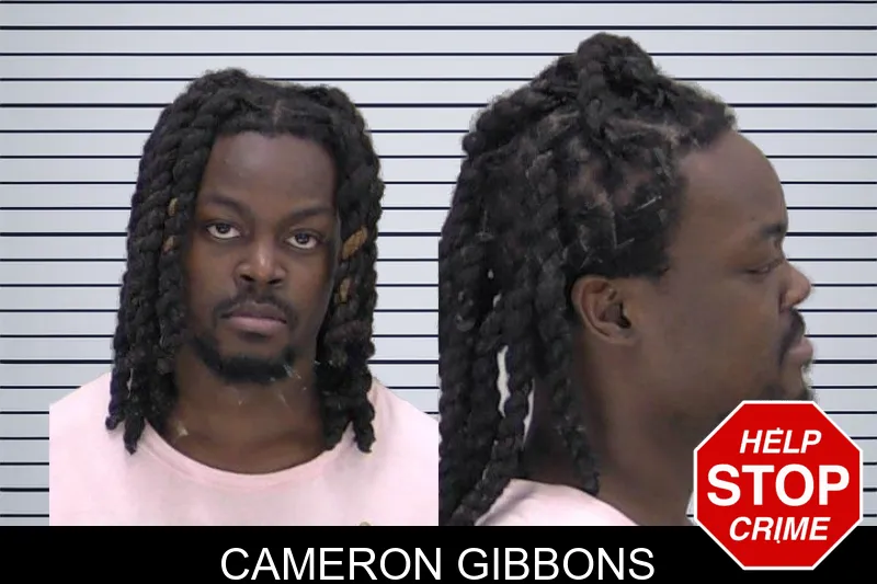 Cameron Gibbons mugshot