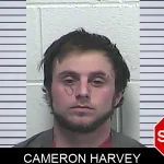 Cameron Harvey mugshot – Dawson County , Georgia Cameron Harvey mugshot