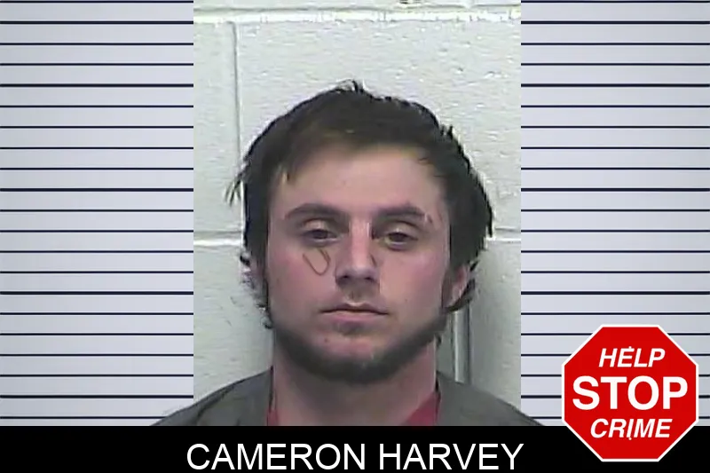 Cameron Harvey mugshot
