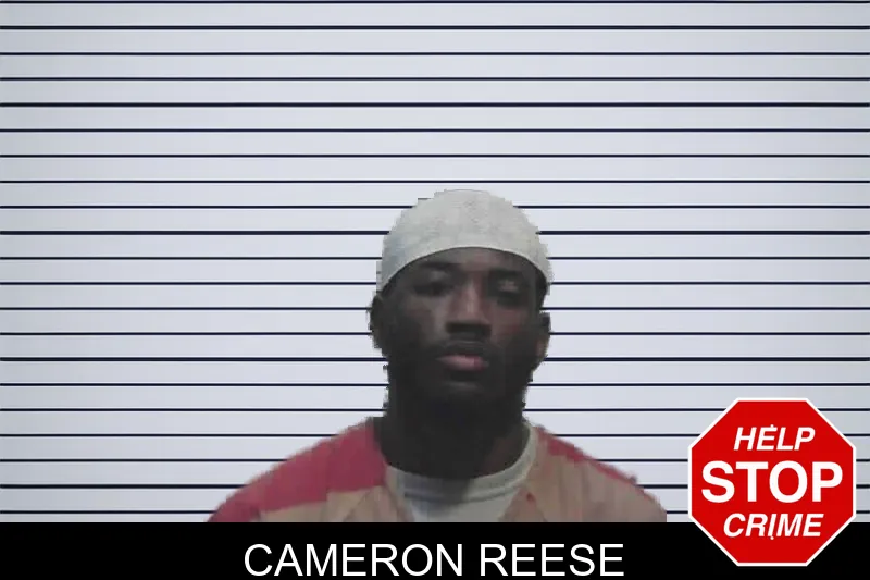 Cameron Reese mugshot