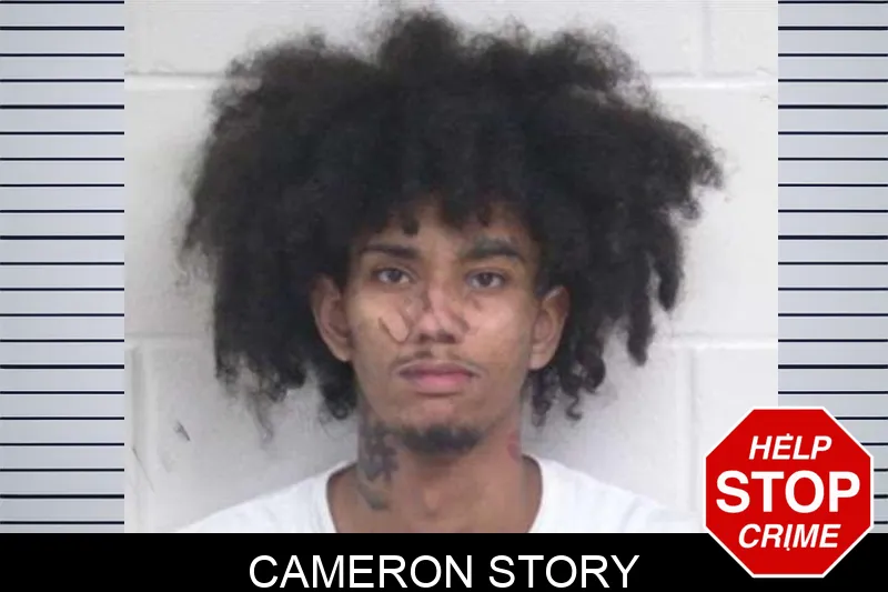 Cameron Story mugshot – Washington County , Georgia Cameron Story mugshot
