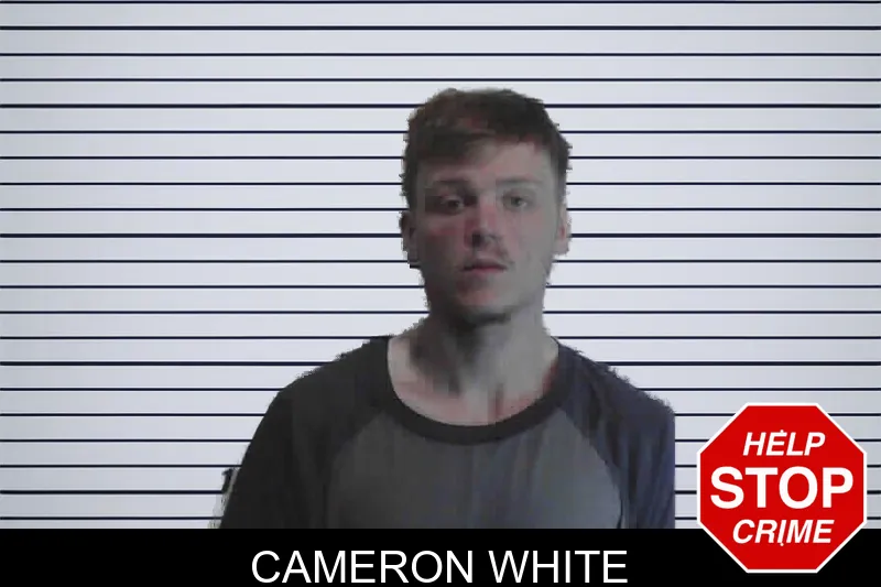 Cameron White mugshot