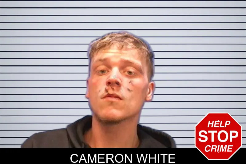 Cameron White mugshot – Troup County , Georgia Cameron White mugshot