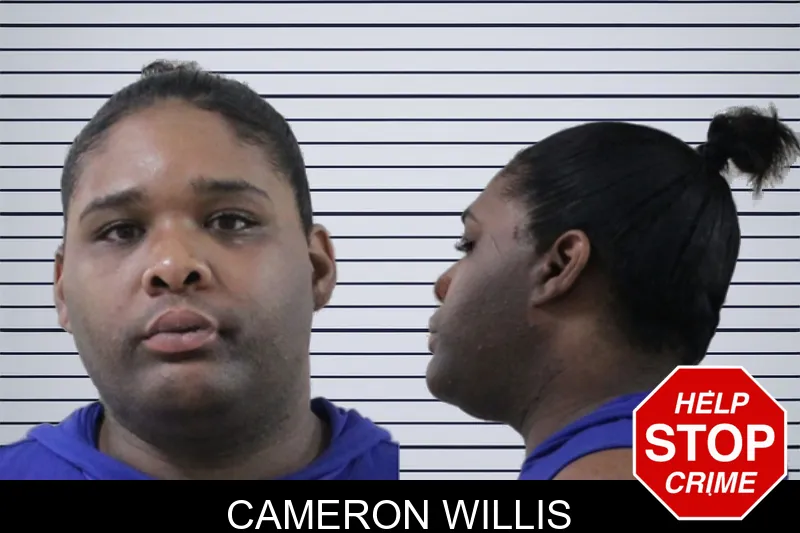 Cameron Willis mugshot – Houston County , Georgia Cameron Willis mugshot