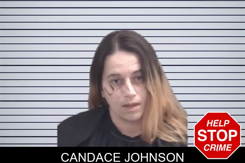 Candace Johnson mugshot