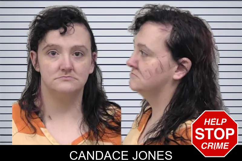 Candace Jones mugshot – Paulding County , Georgia Candace Jones mugshot