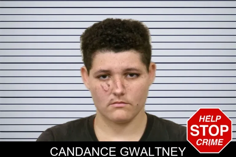Candance Gwaltney mugshot – Bulloch County , Georgia Candance Gwaltney