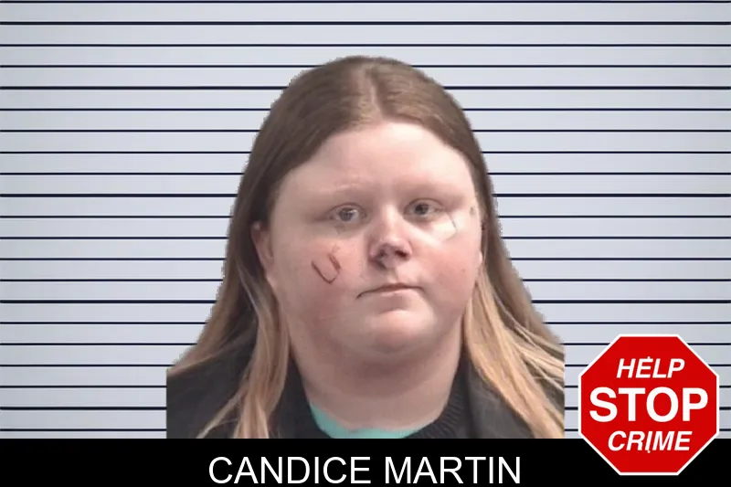 Candice Martin mugshot – Spalding County , Georgia Candice Martin mugshot