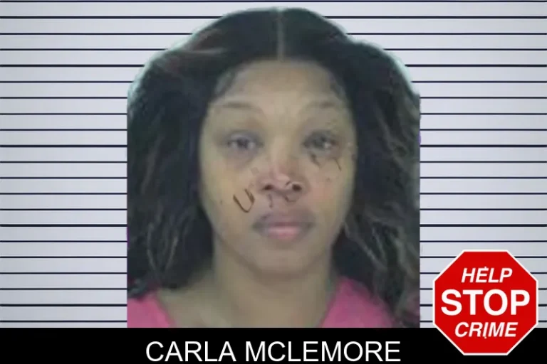 Carla McLemore mugshot β Fayette County , Georgia Carla McLemore