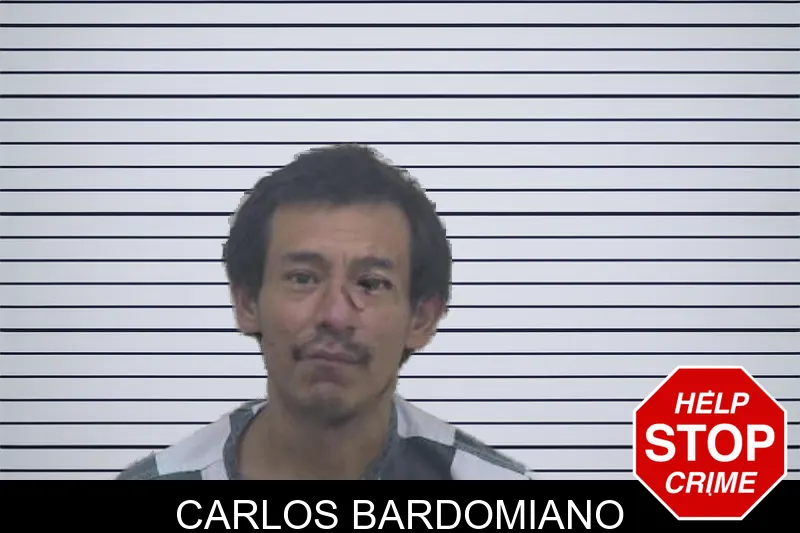 Carlos Bardomiano mugshot