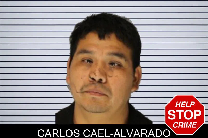 Carlos Cael-Alvarado mugshot
