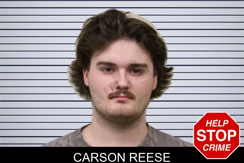 Carson Reese mugshot