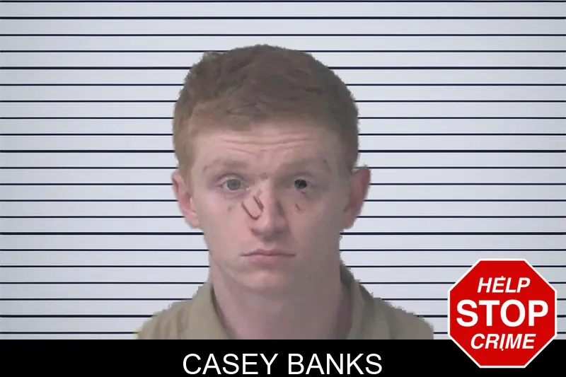 Casey Banks mugshot – Newton County , Georgia Casey Banks mugshot