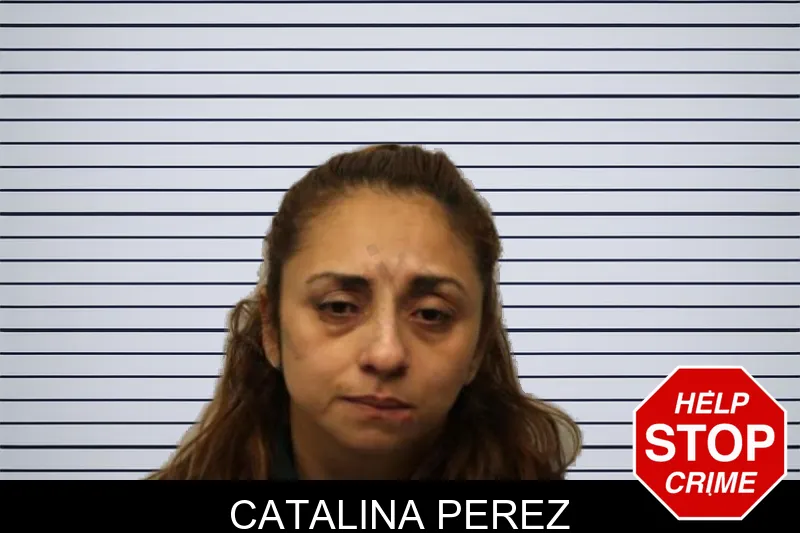 Catalina Perez mugshot