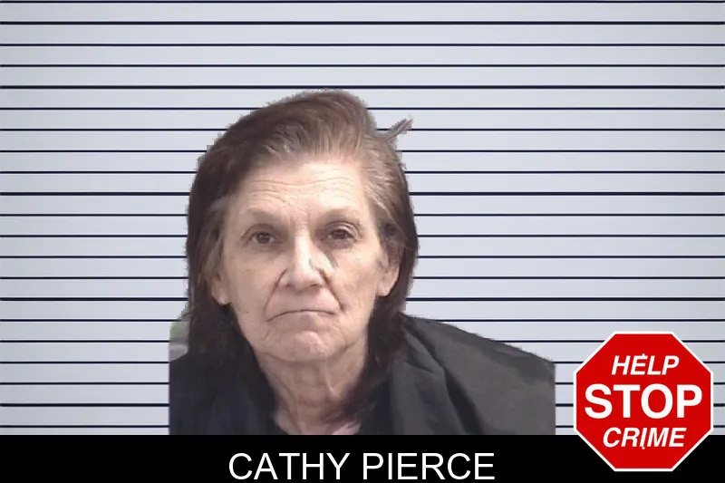 Cathy Pierce mugshot – Spalding County , Georgia Cathy Pierce mugshot