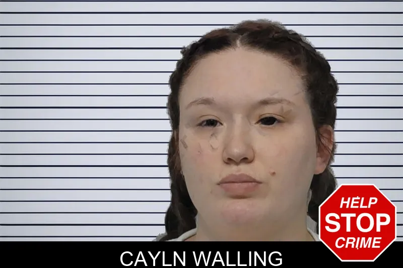 Cayln Walling mugshot