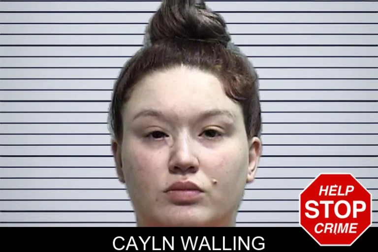 Cayln Walling mugshot – Effingham County , Georgia Cayln Walling