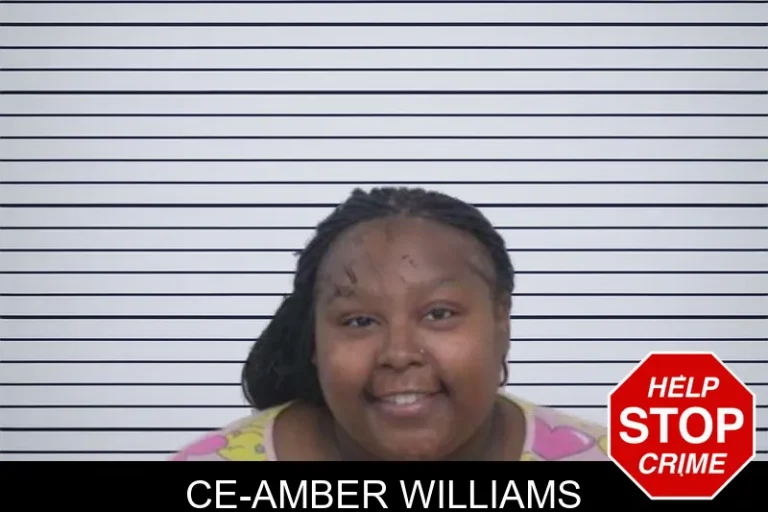Ce-Amber Williams mugshot – Washington County , Georgia Ce-Amber Williams