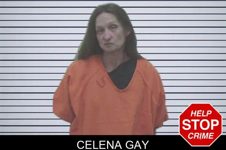 Celena Gay mugshot – Worth County , Georgia Celena Gay