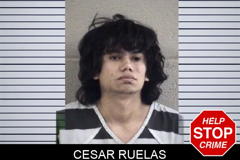Cesar Ruelas mugshot