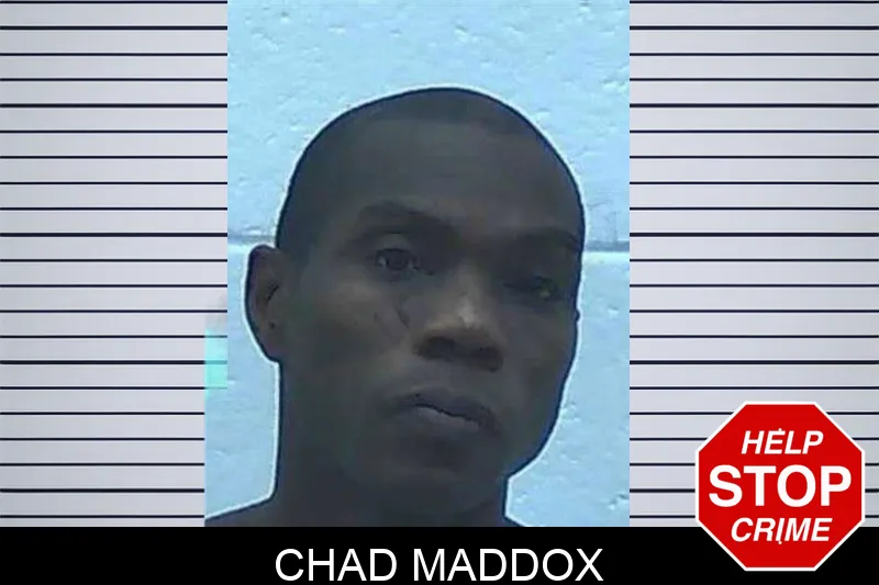 Chad Maddox mugshot – Jackson County , Georgia Chad Maddox mugshot