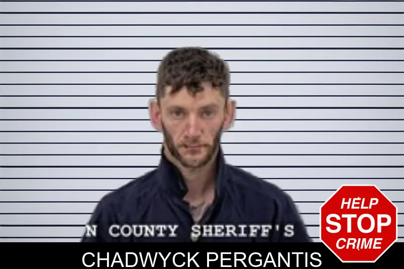 Chadwyck Pergantis mugshot