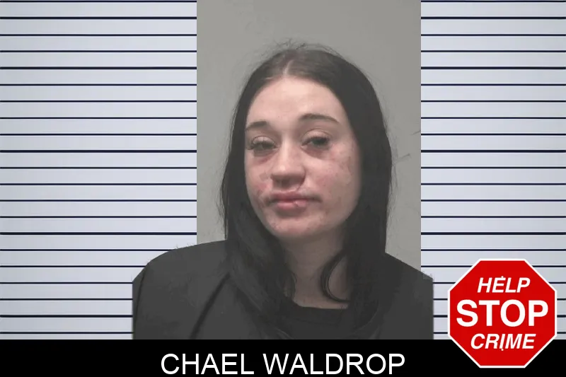 Chael Waldrop mugshot – Coweta County , Georgia Chael Waldrop mugshot