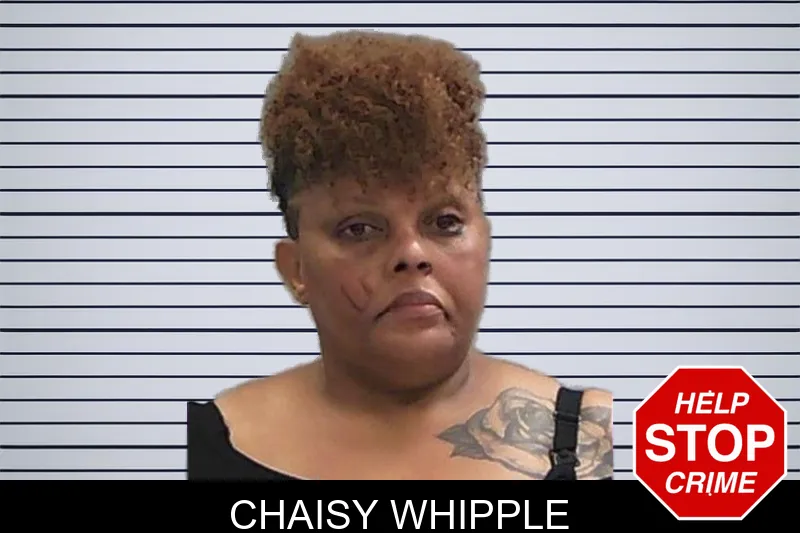 Chaisy Whipple mugshot