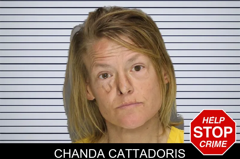 Chanda Cattadoris mugshot