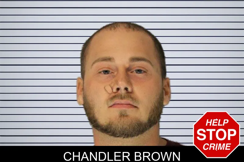 Chandler Brown mugshot