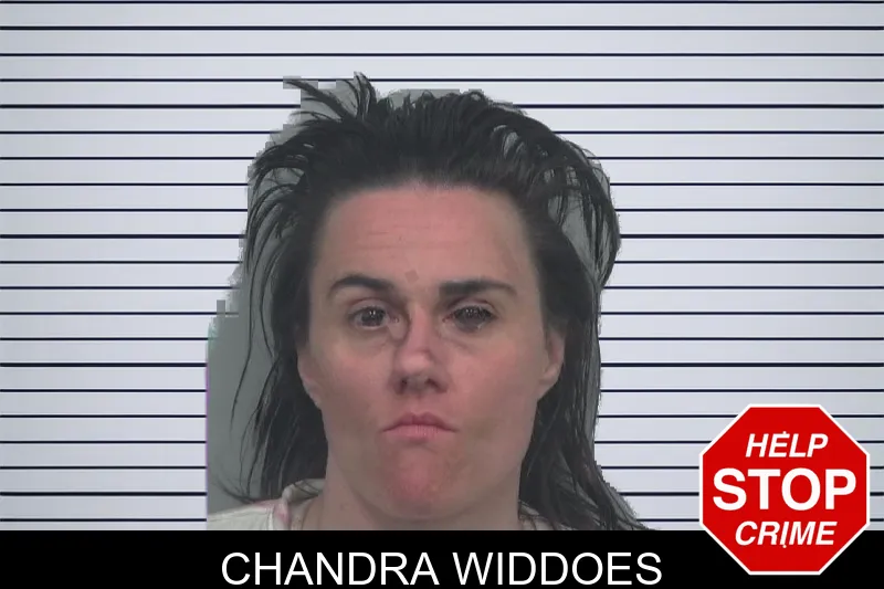 Chandra Widdoes mugshot