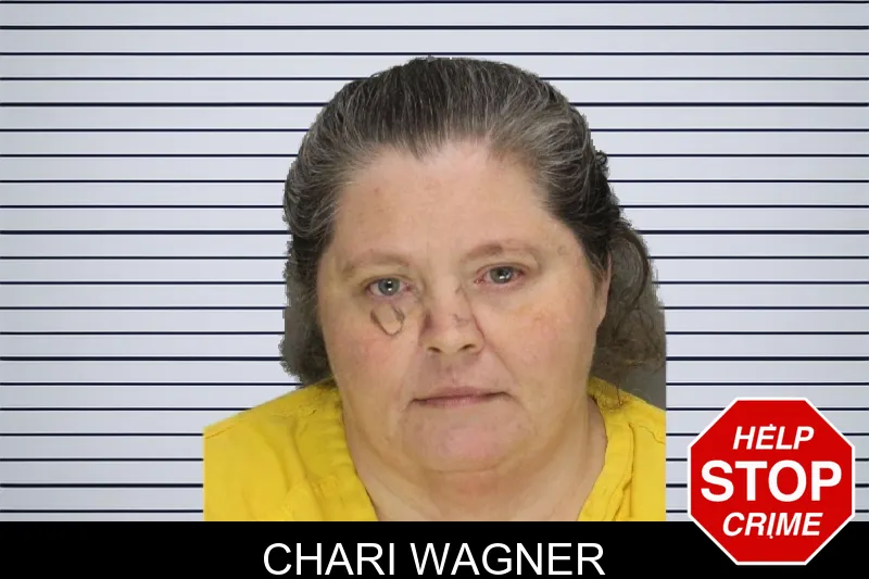 Chari Wagner mugshot