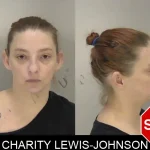 Charity Lewis-Johnson mugshot